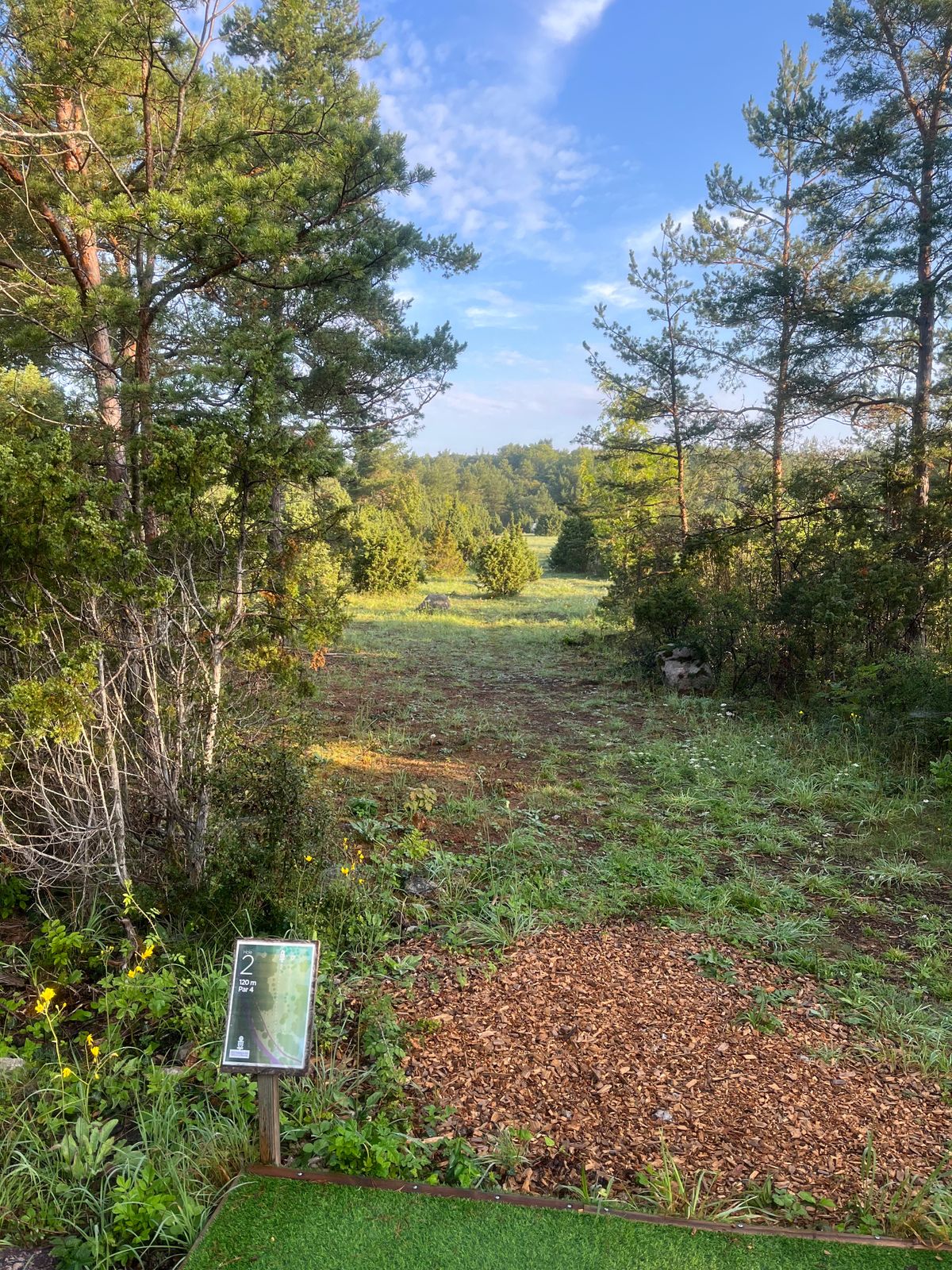 Hole 2
