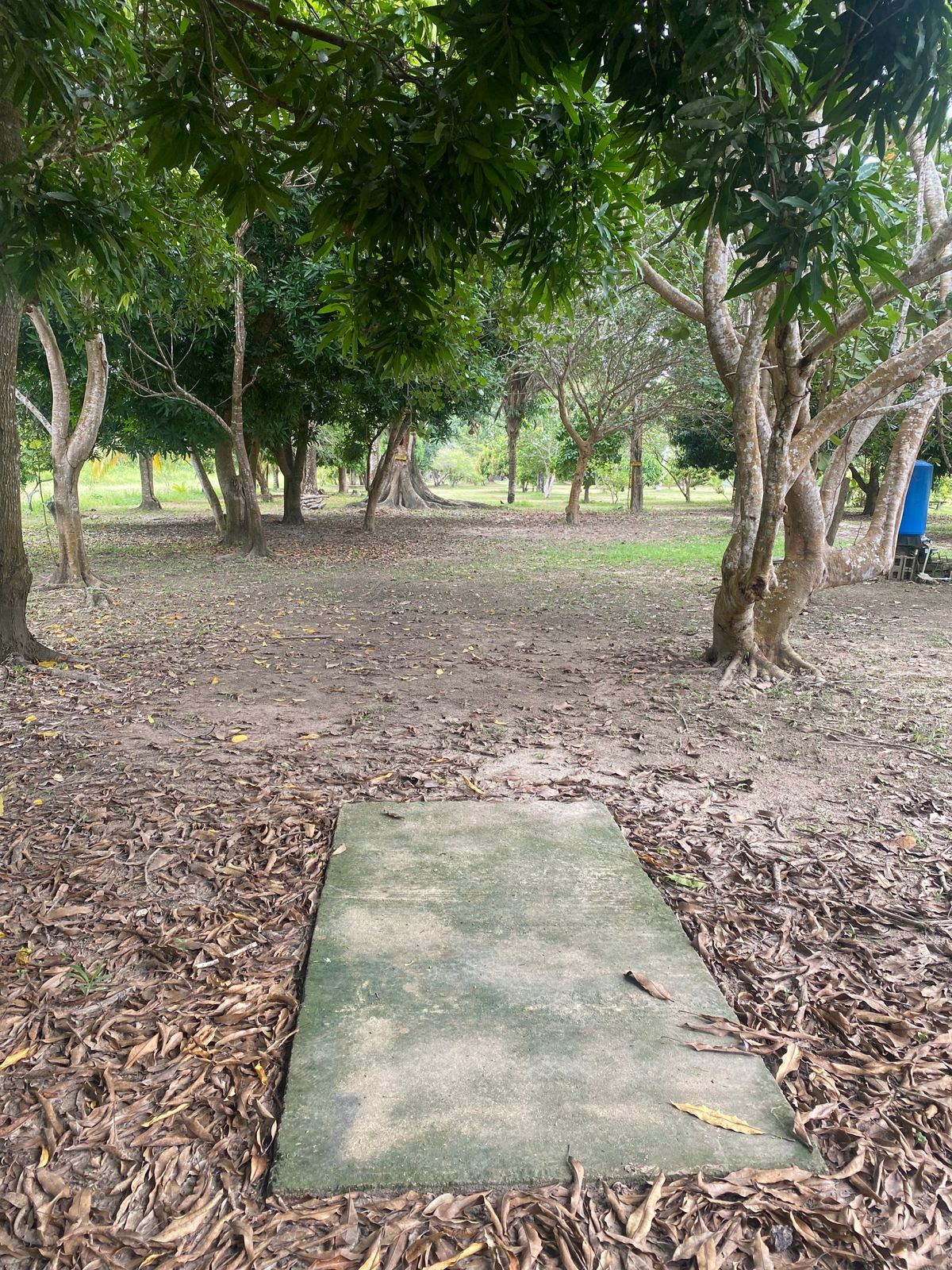 Hole 1 double mando