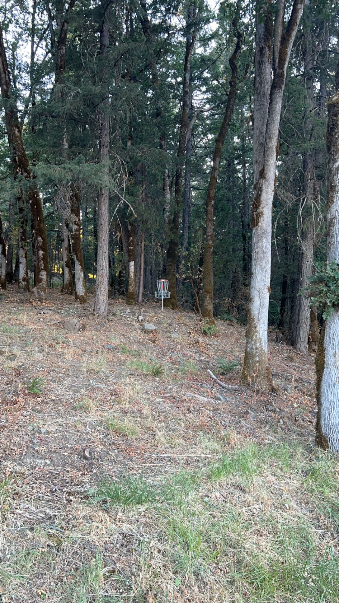 Hole 2