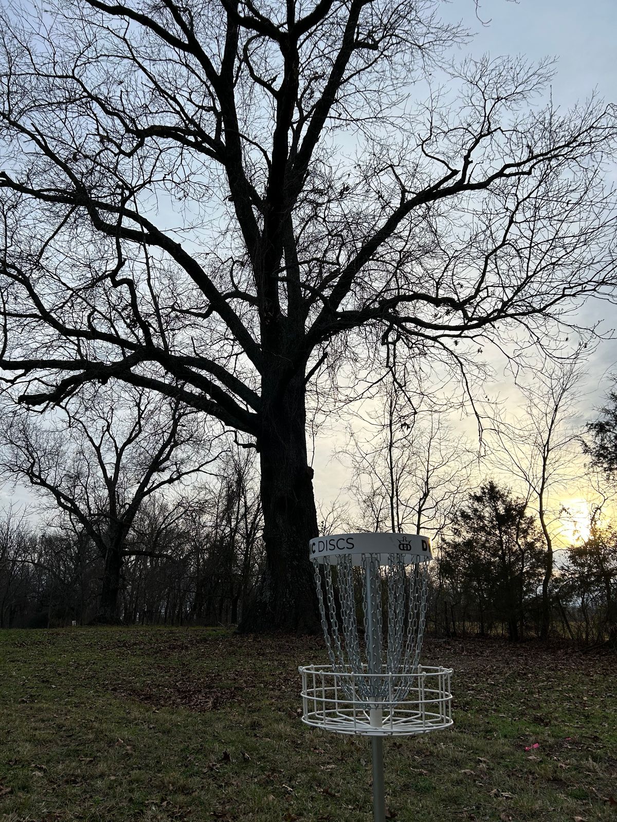 Hole 3 basket