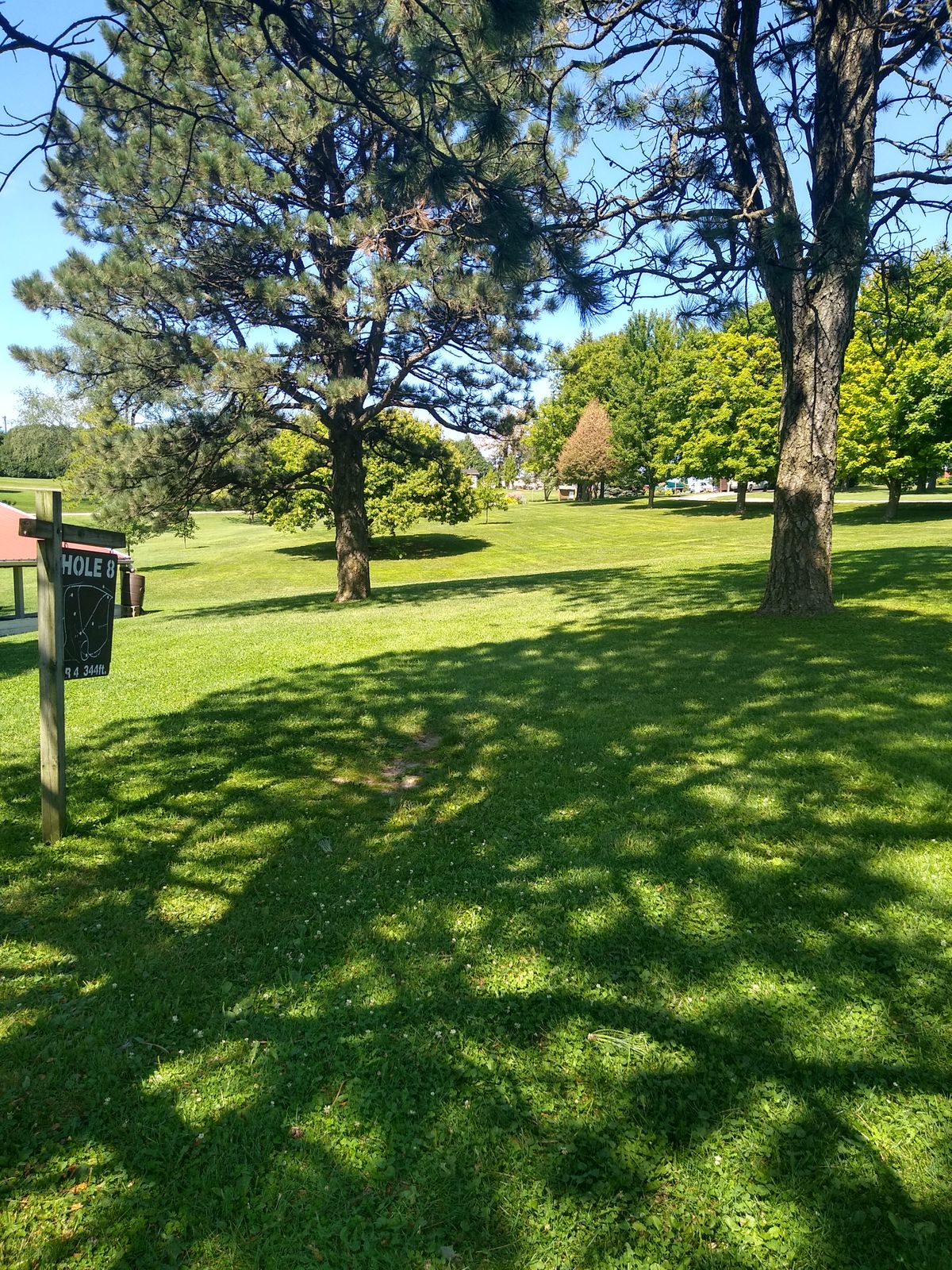 Hole 8