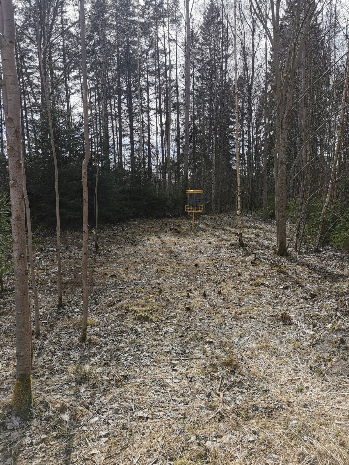 Hål 10 korg placering