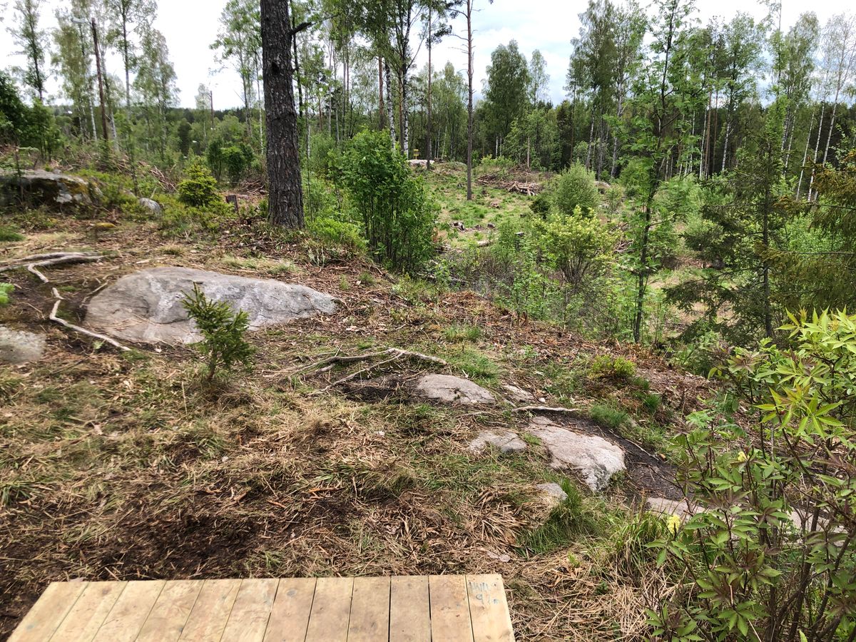 Hole 9 from tee