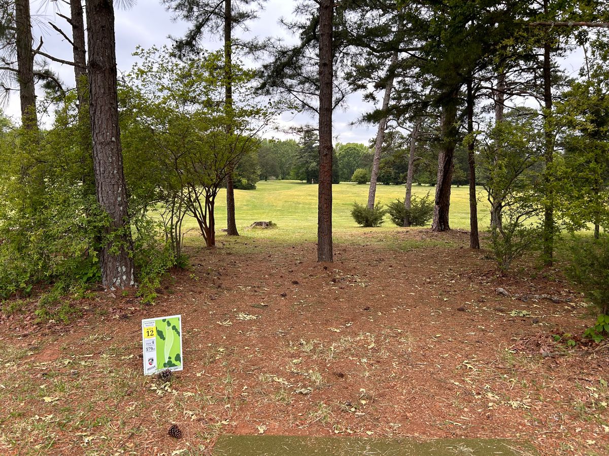 Hole 12 from the tee