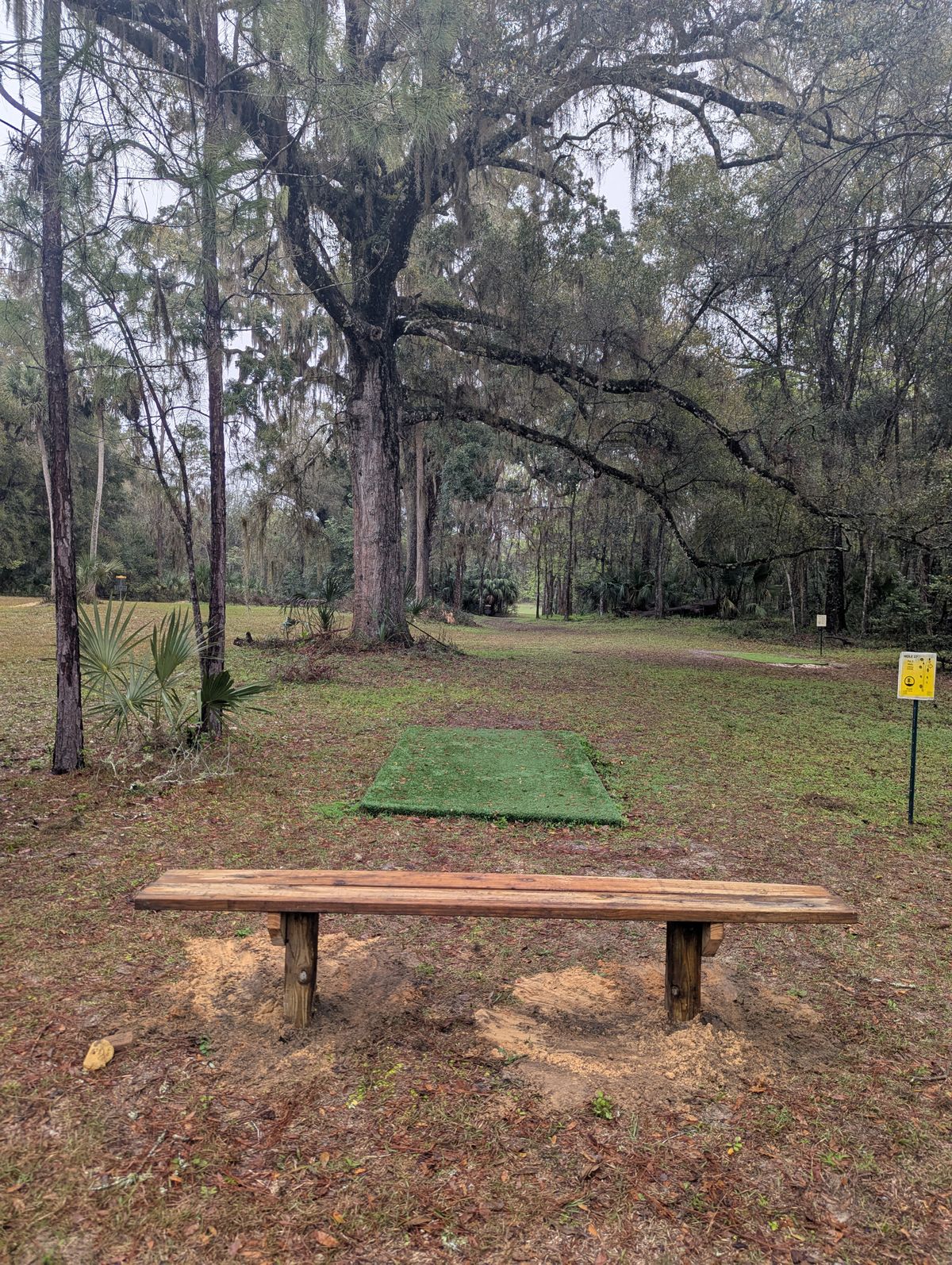 Hole 17 Blue/Long