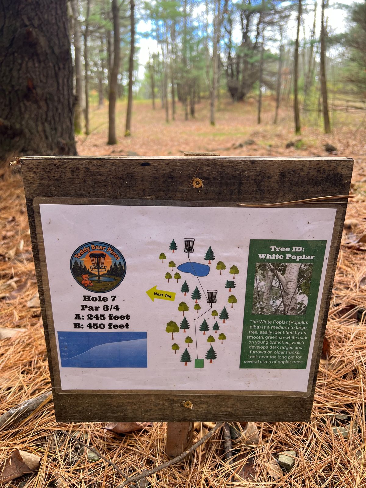 Excellent signage with tree info!