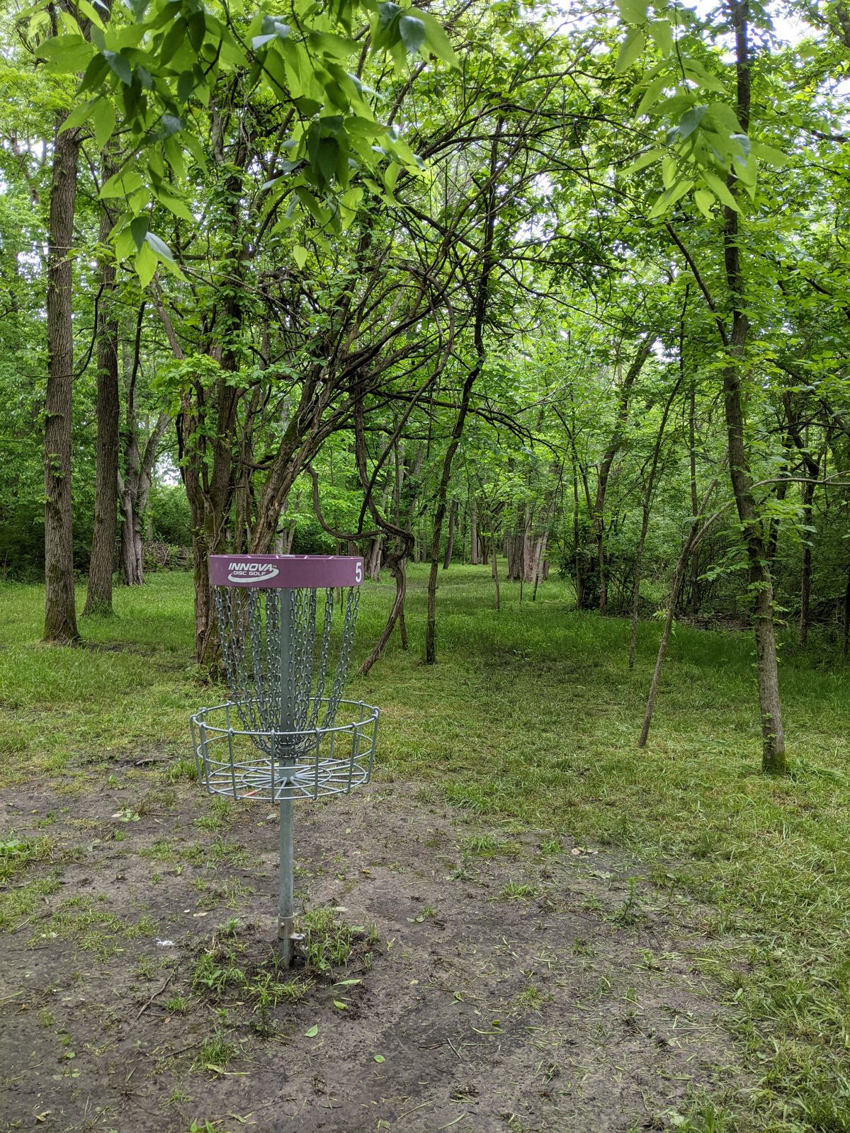 Hole 5 basket to tee view