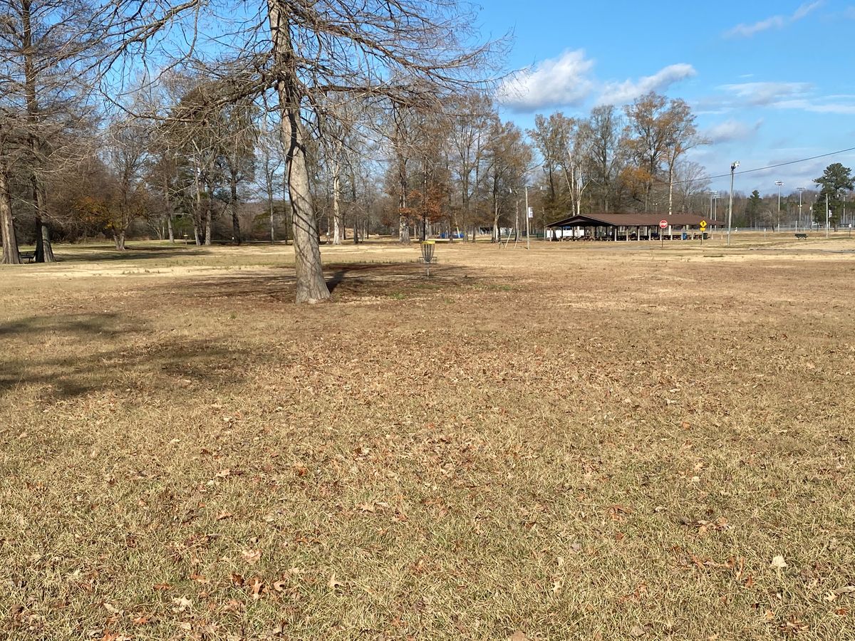 Hole 8 green
