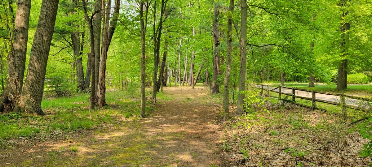 Hole 6 tee