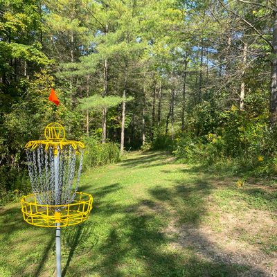 Hole 7 Basket (looking back)