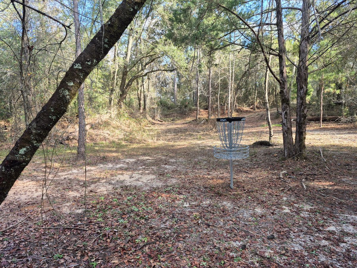 Hole 6 basket