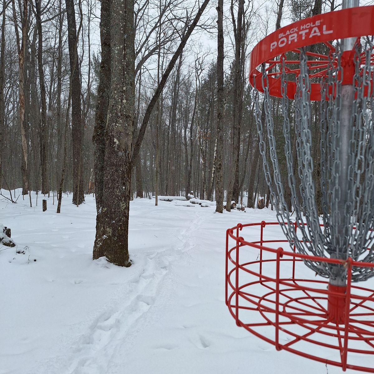 Hole 11 looking back from the basket.