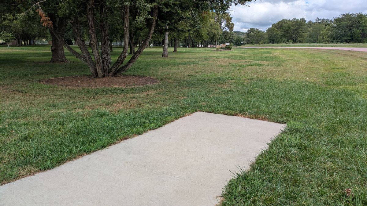 Tee #8