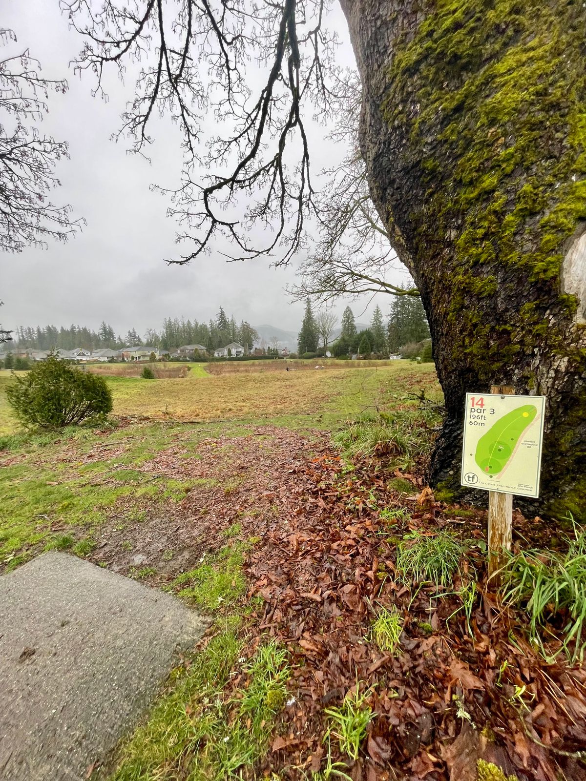 Hole 14 tee