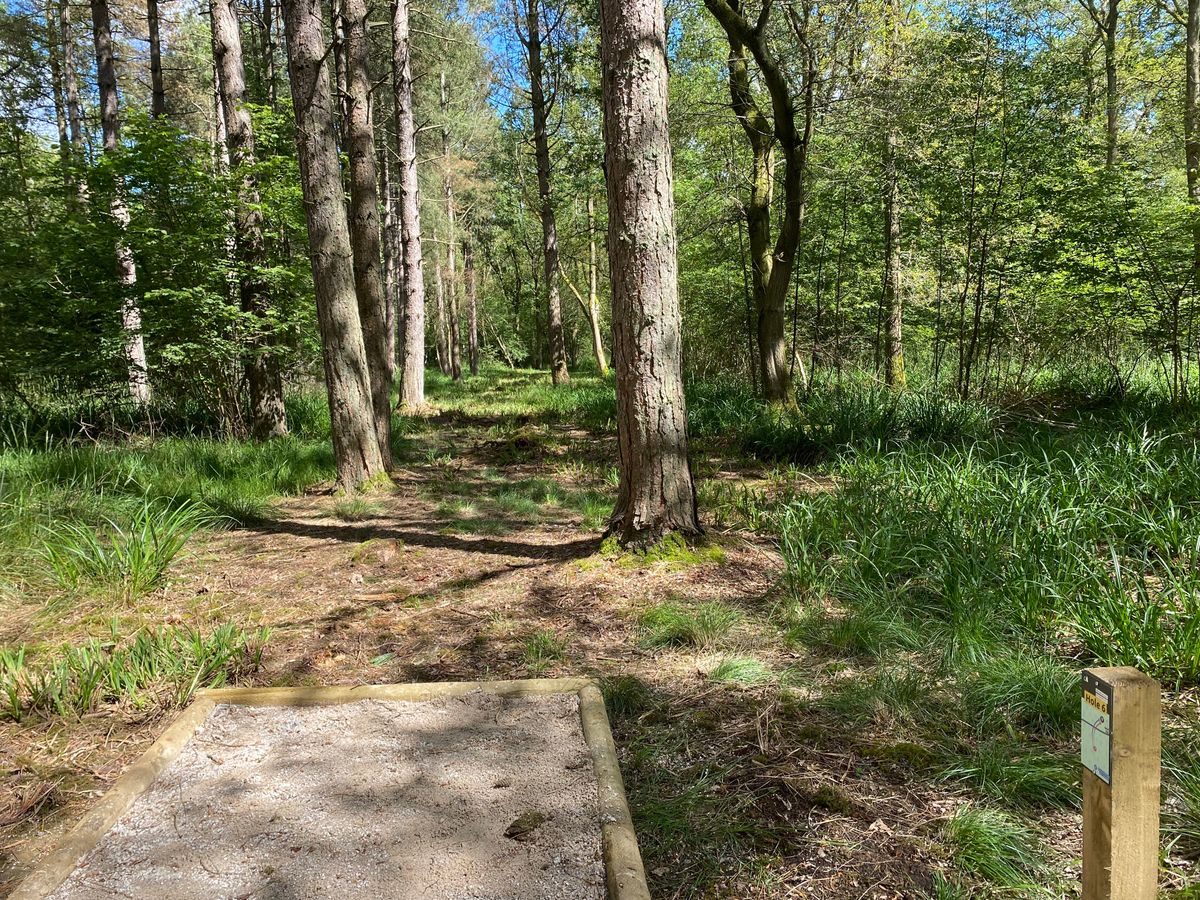 Hole 6 - Long