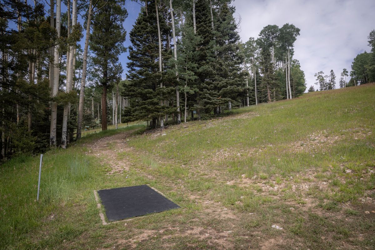Pro/Amateur Tee 8
