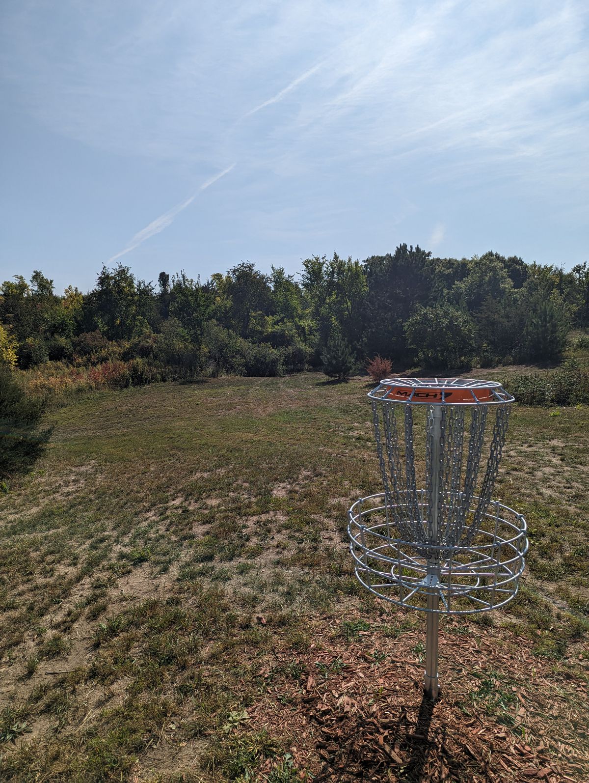 Short Basket looking back at fairway