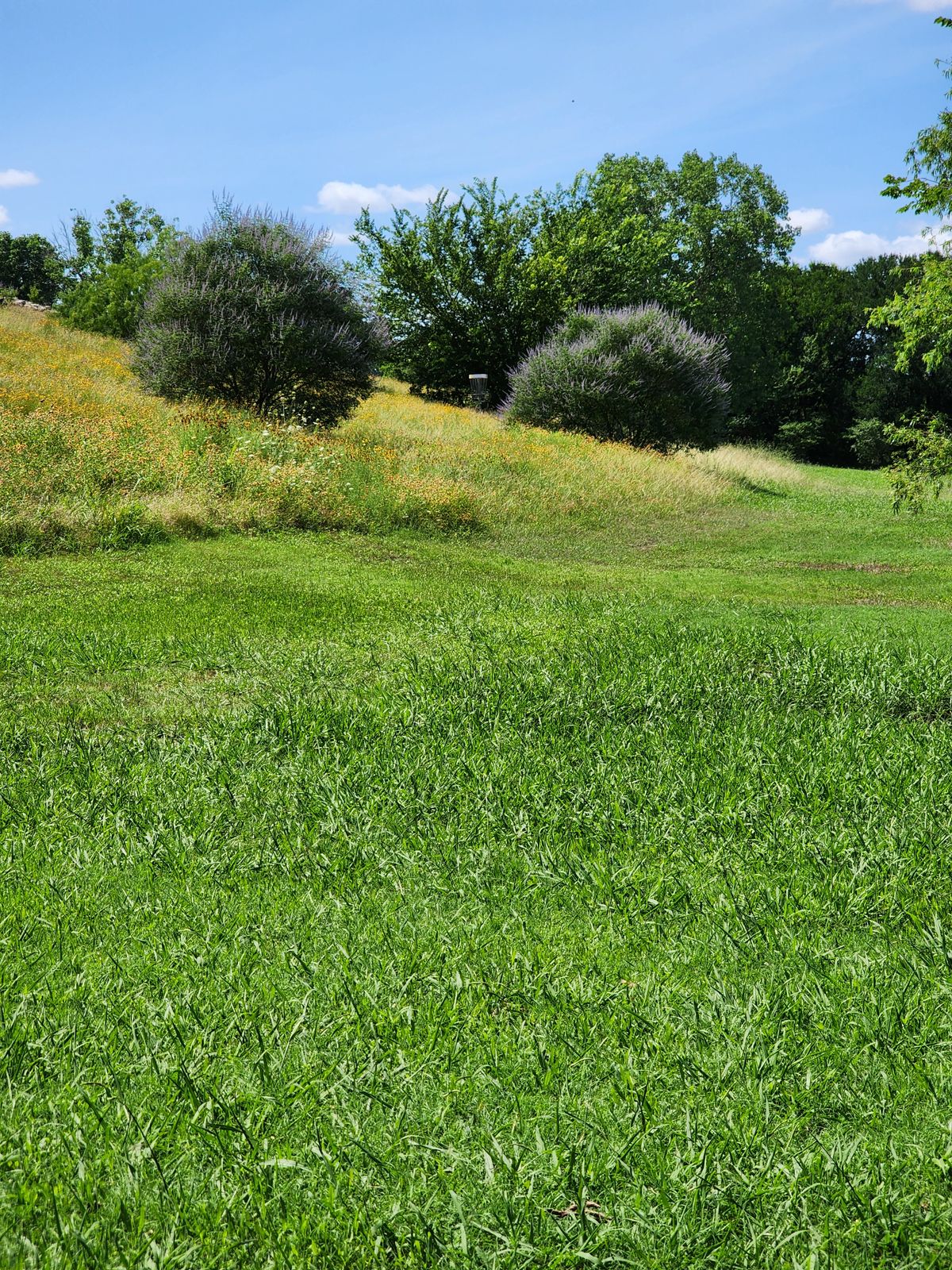 Hole 2