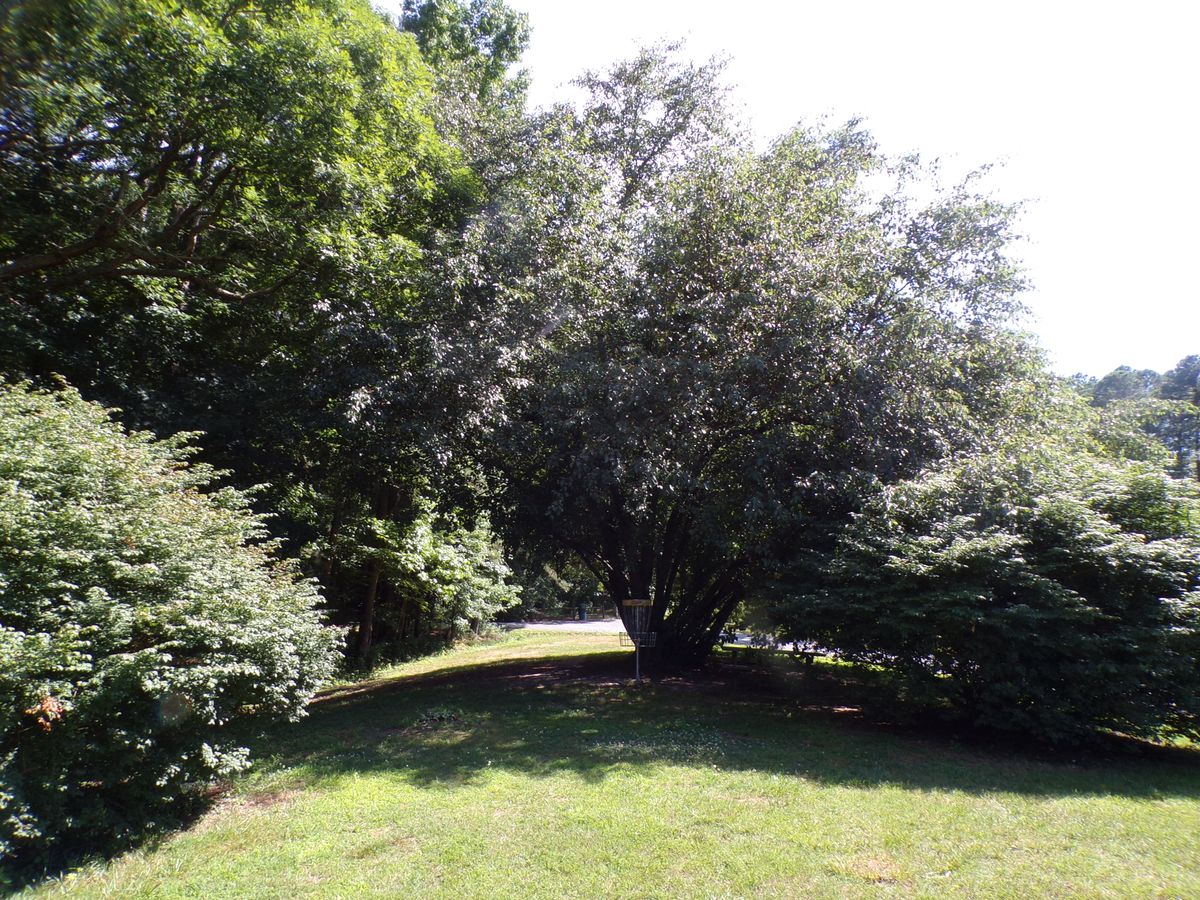 Hole 5's basket. Tee off from the basketball court.