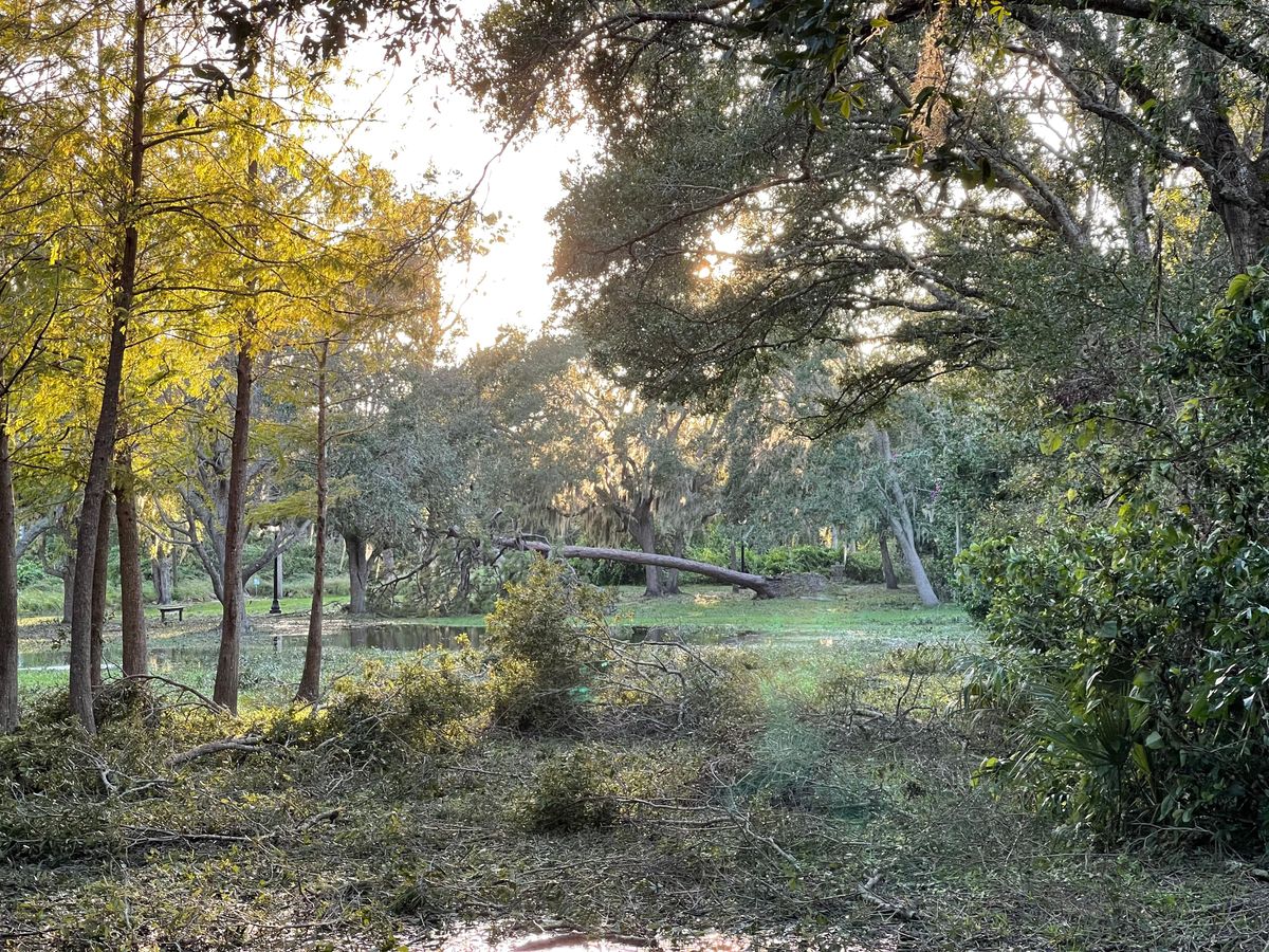 Hole1