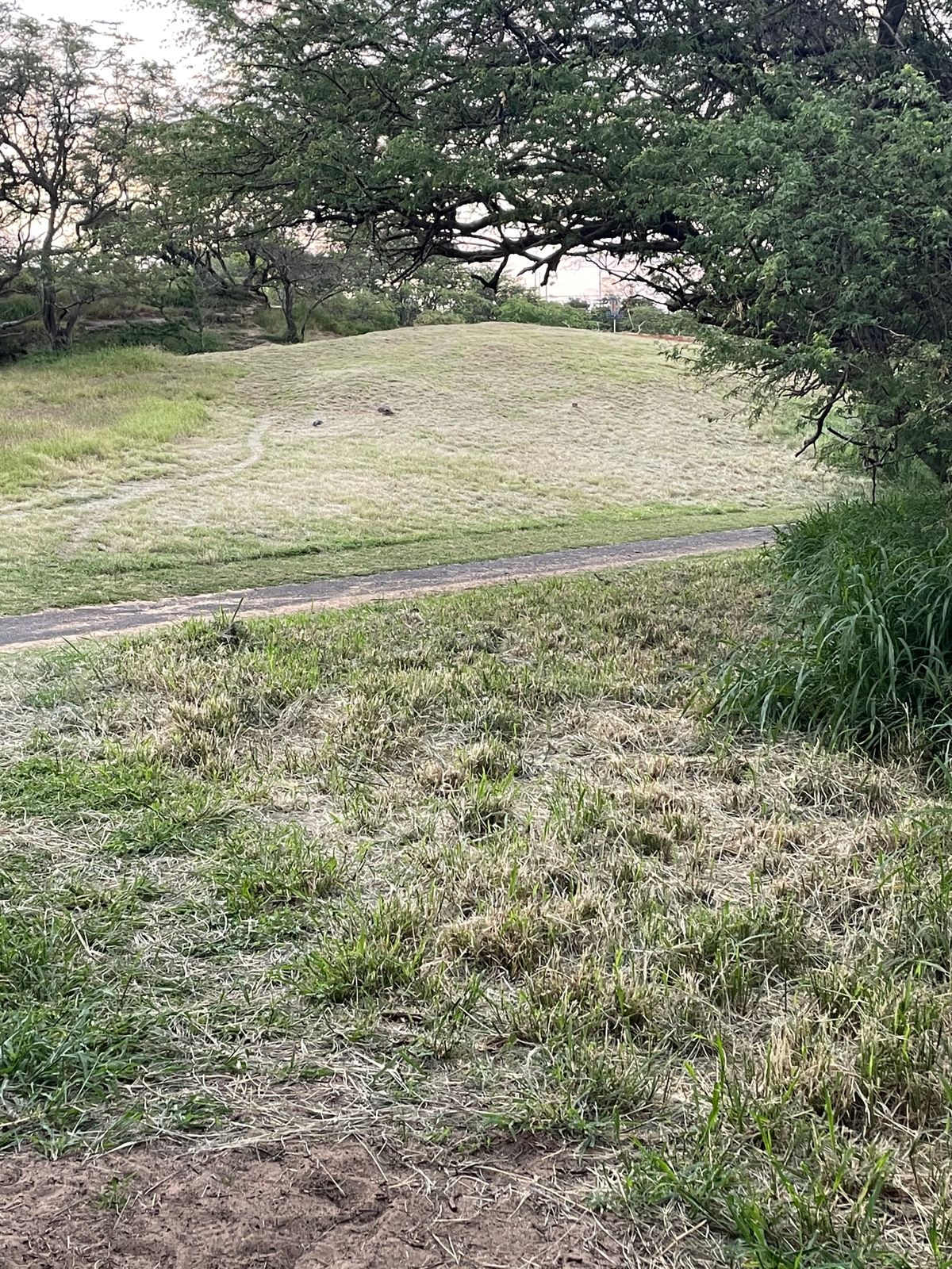 Hole 11