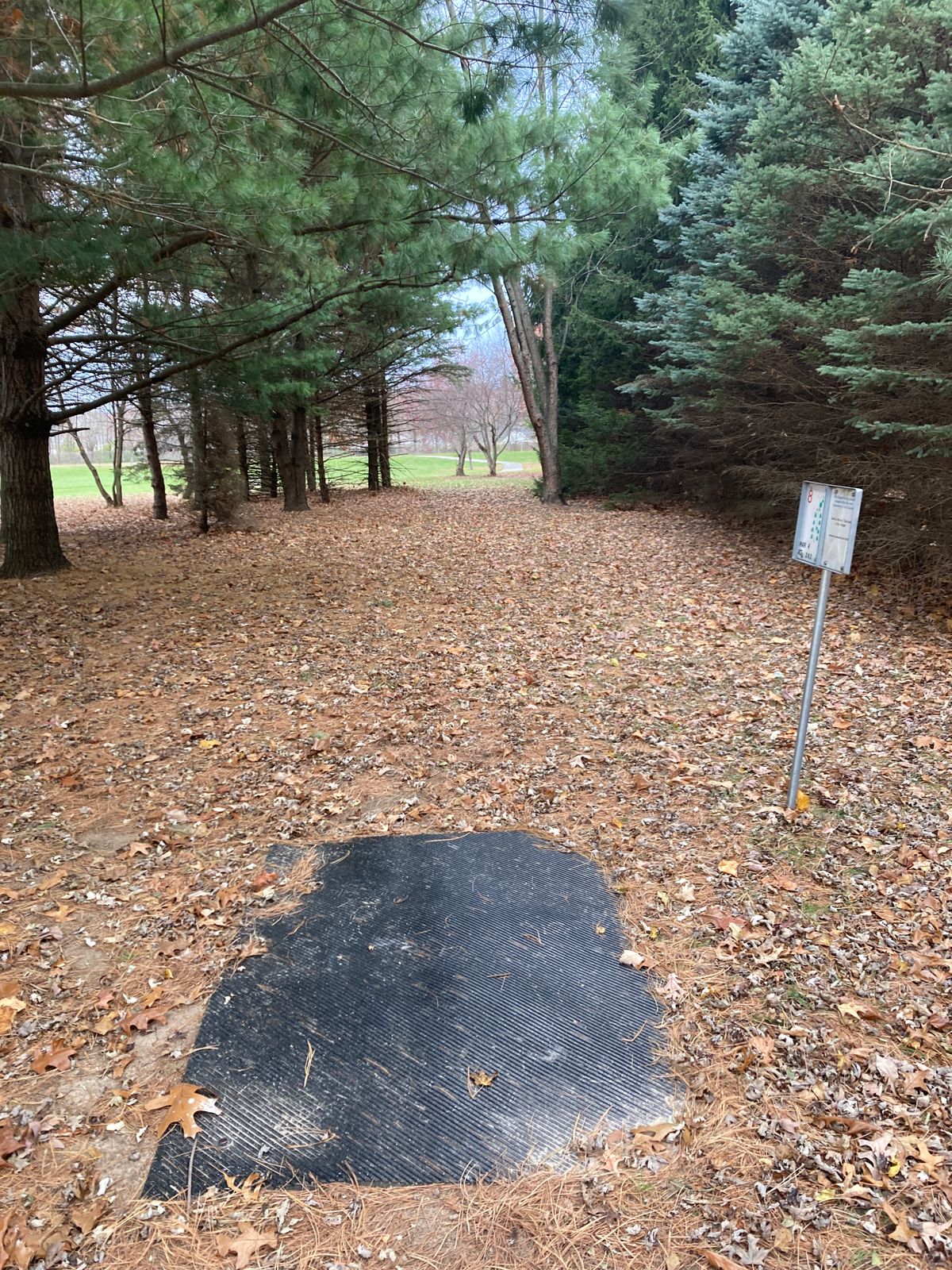 Tee Pad 08, a tunnel shot with the basket to the right of the opening in the trees.