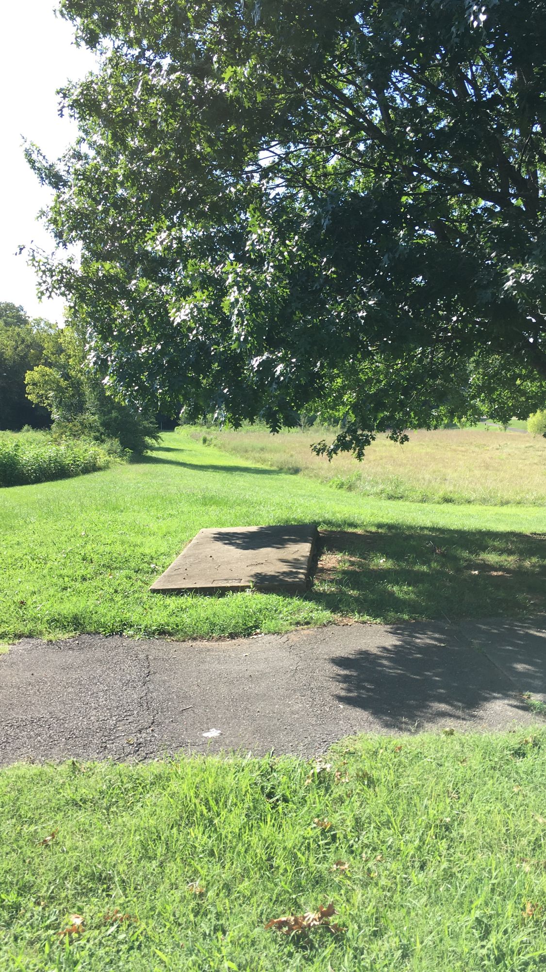 Hole 4 - Pad - Main (Long)