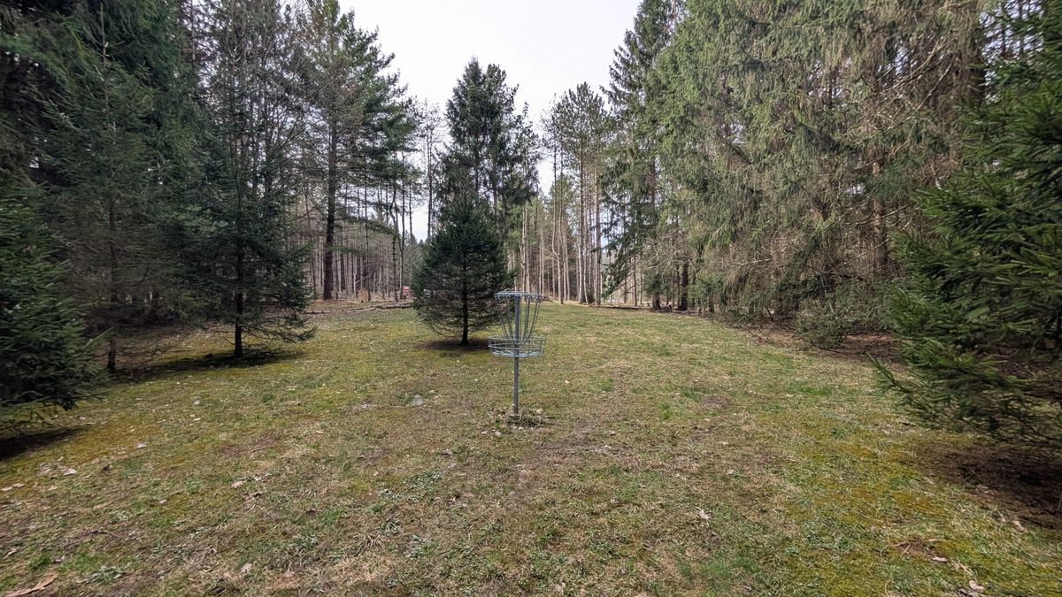 Hole 4 green