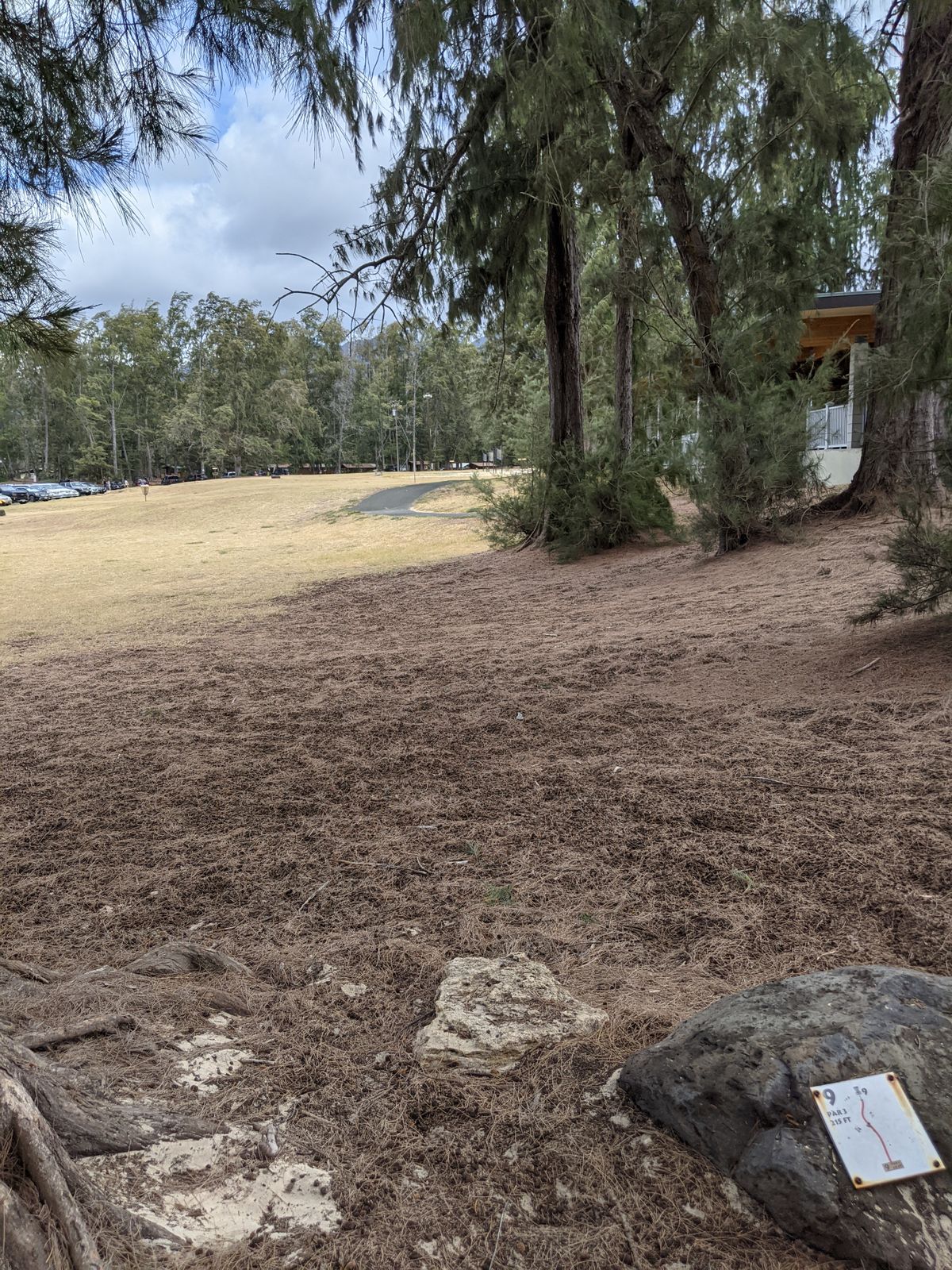 Hole 9