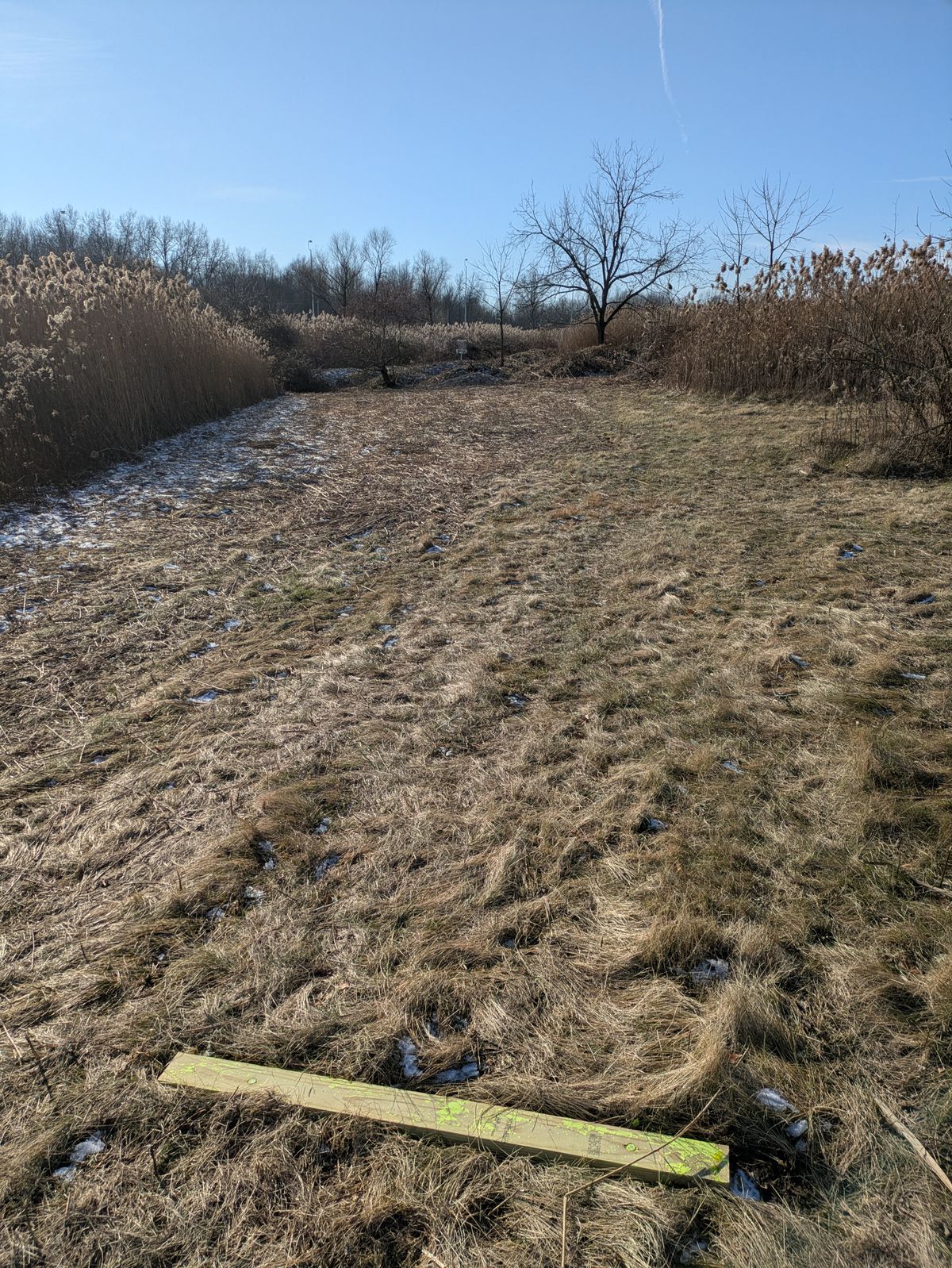 Hole 7 teepad