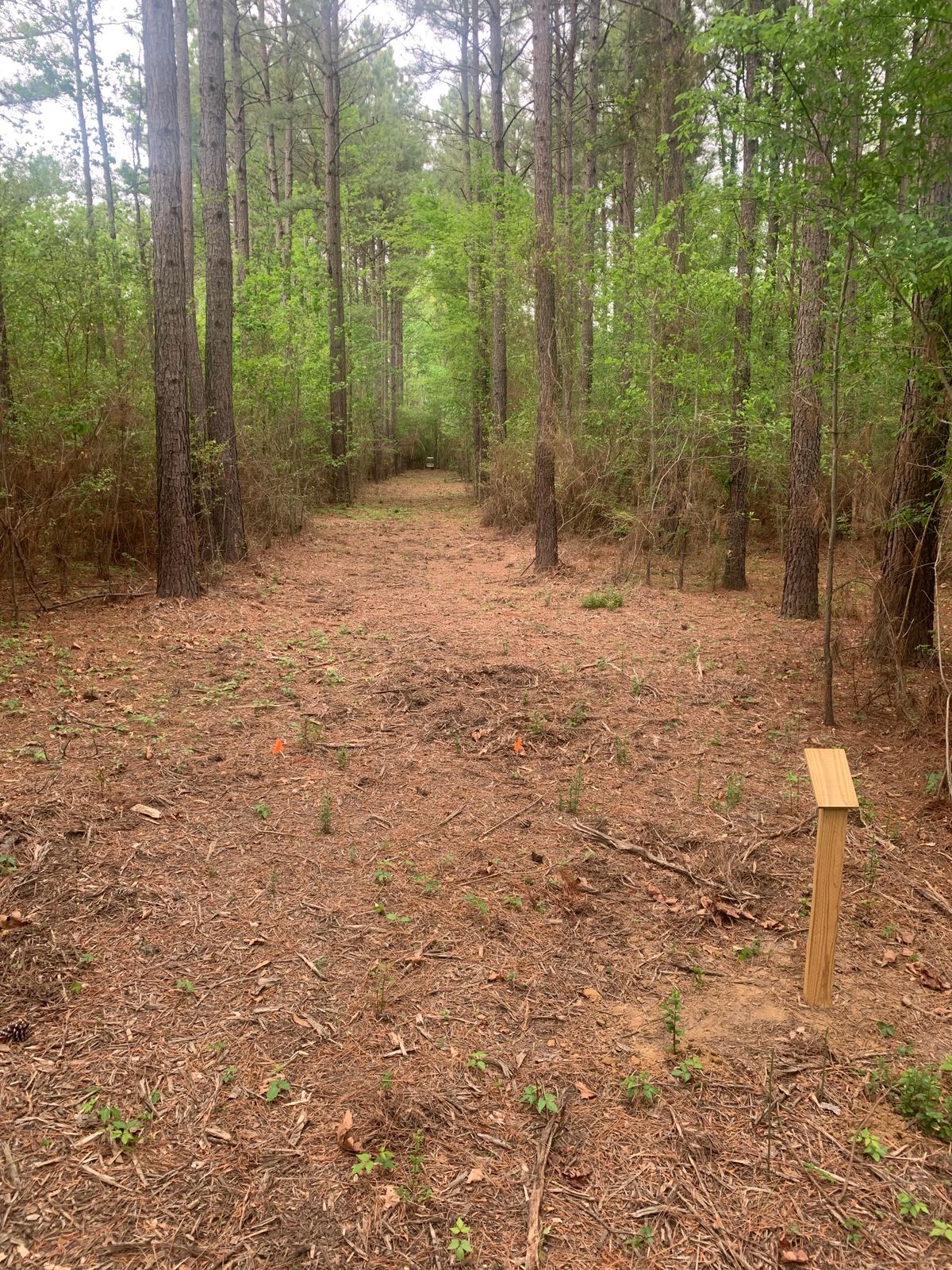 Hole 6 Tunnel shot
