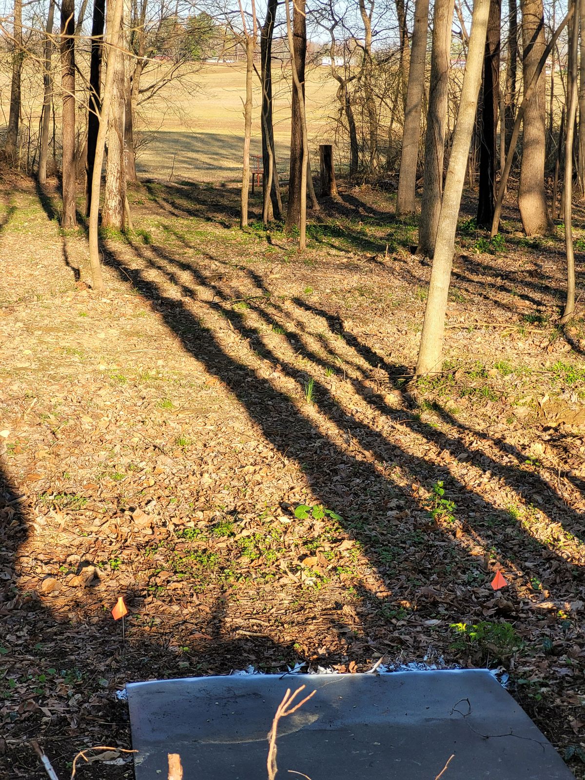 Hole 13