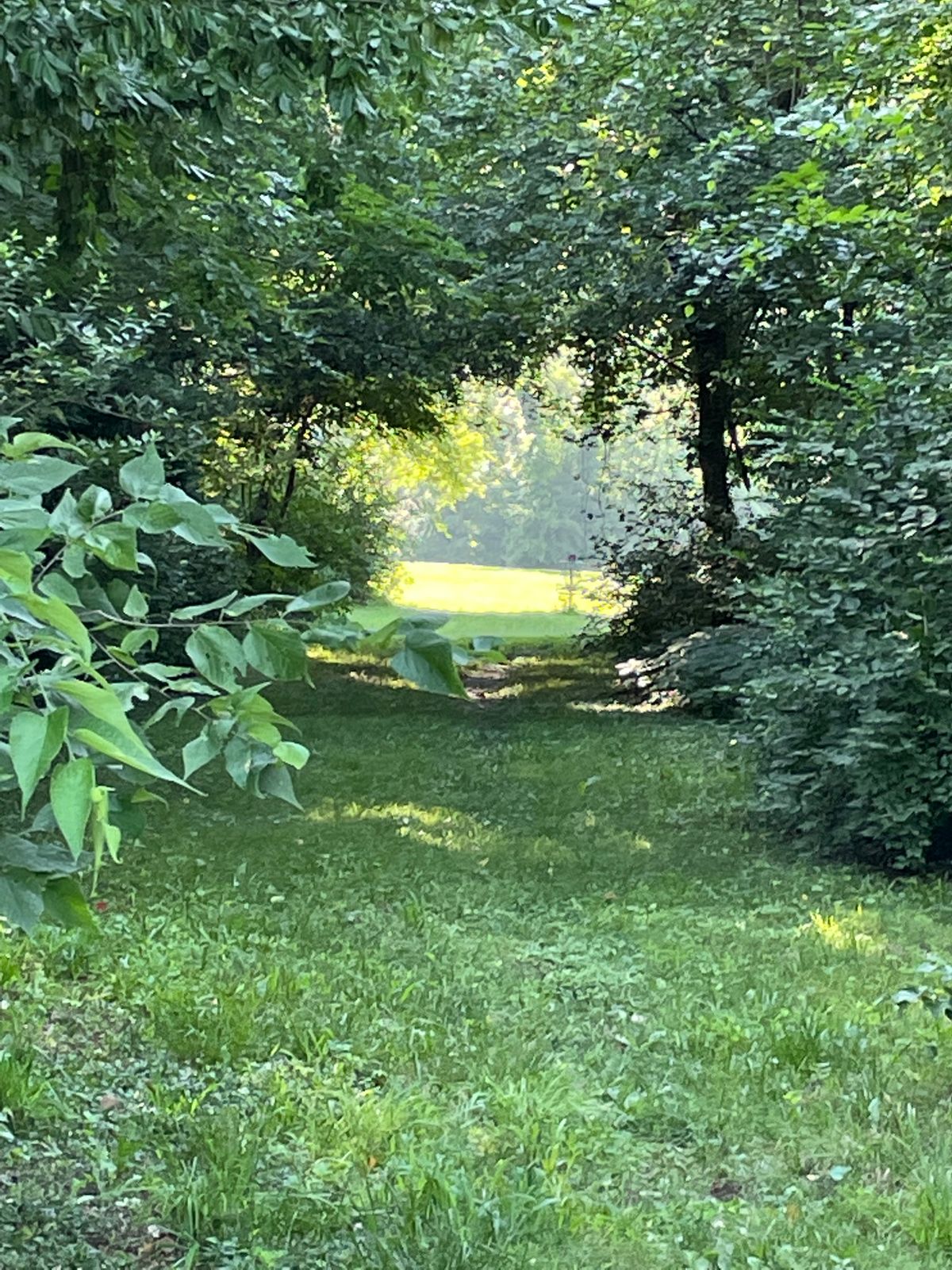 Pretty course but unmaintained / maintainable.