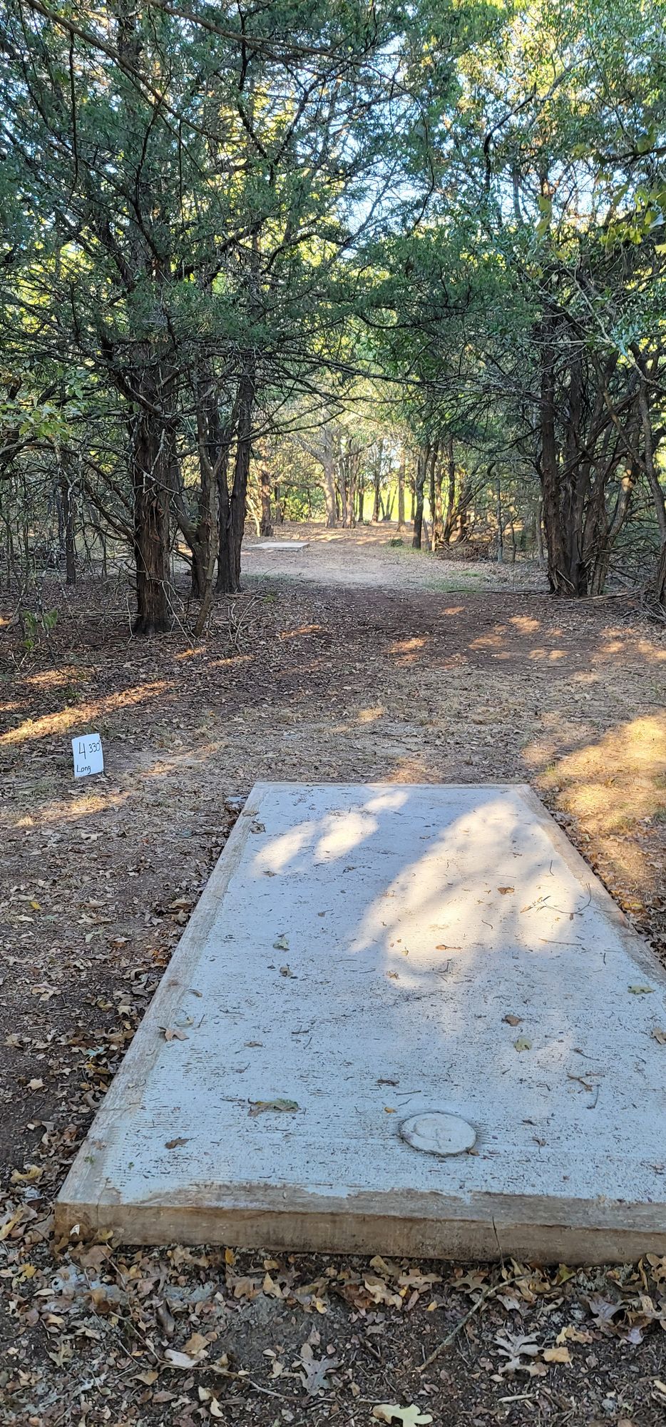 Hole 4 long