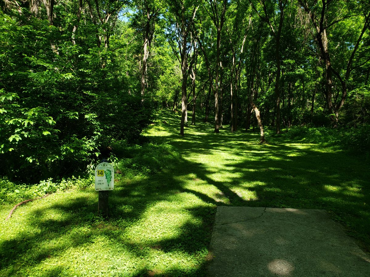 Hole 14