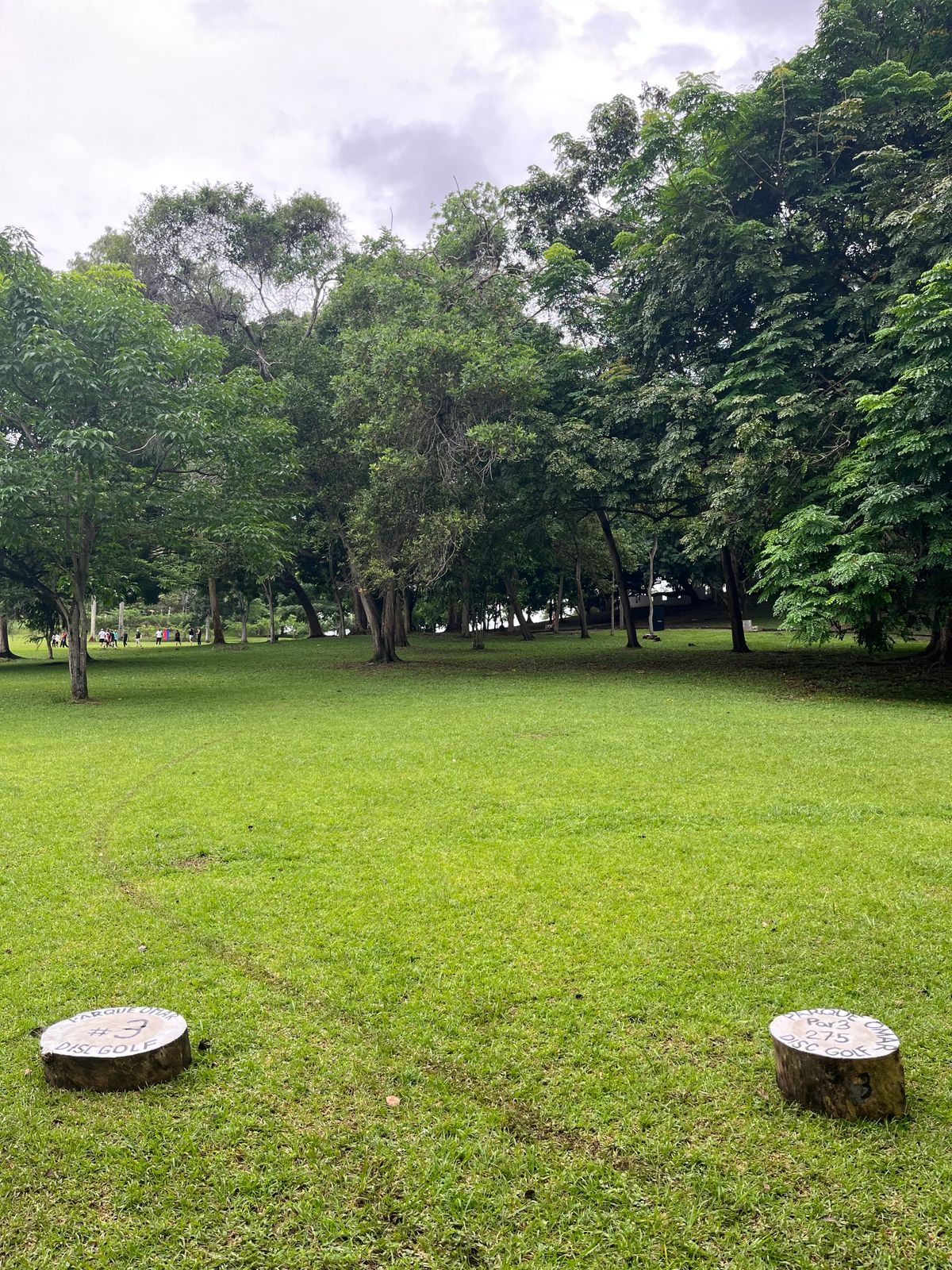 Hole 3