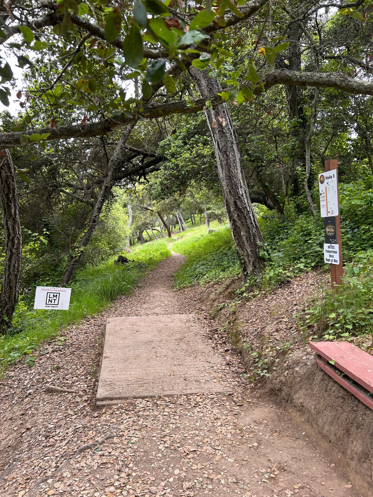 Hole 3