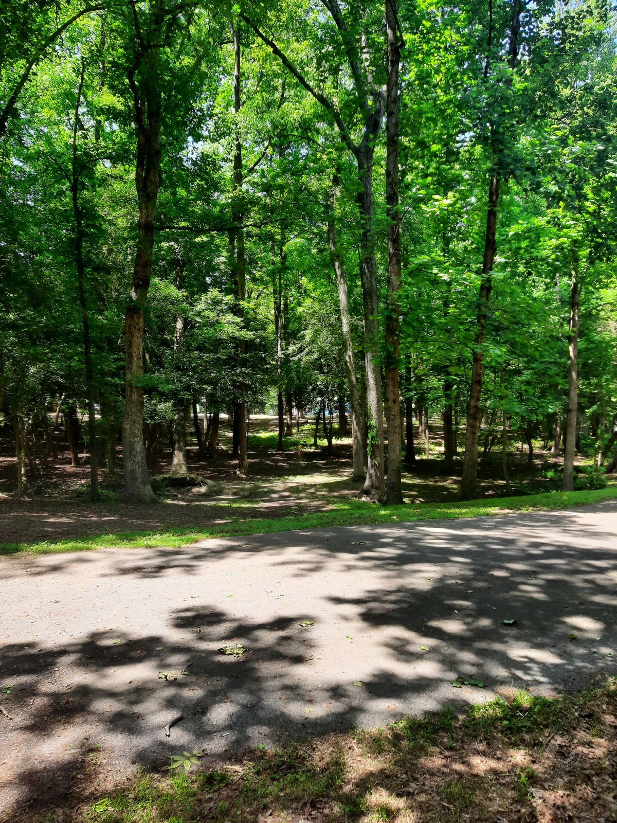 Hole 9 Approach Long of the Road