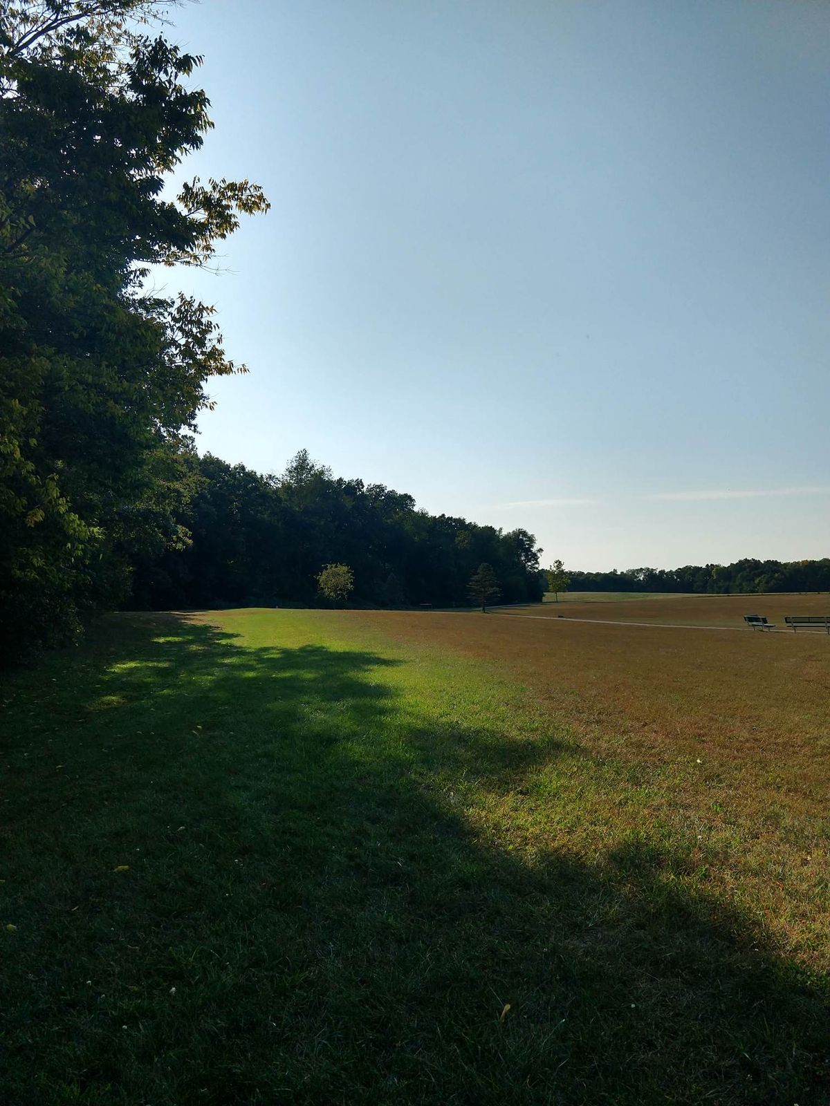 Hole 5