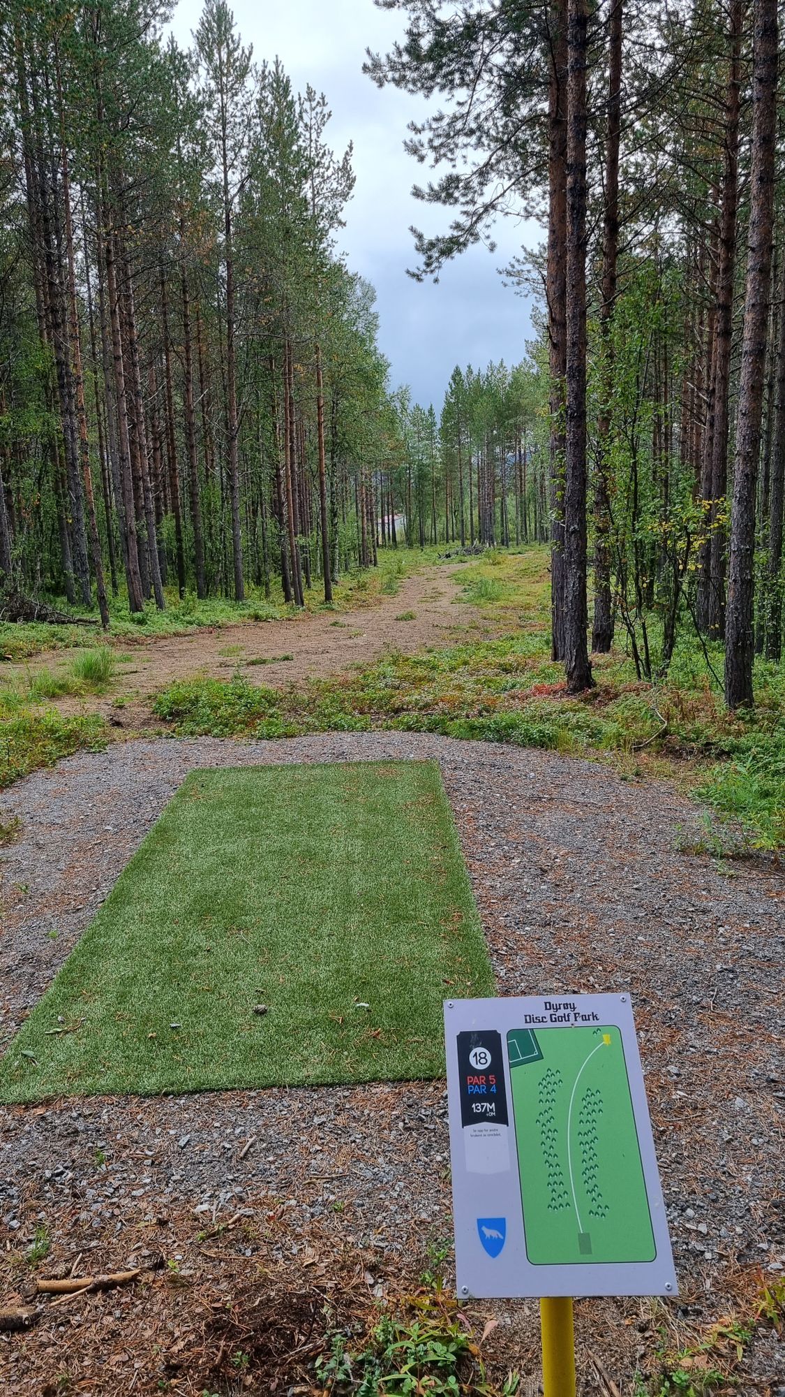 Tee 18