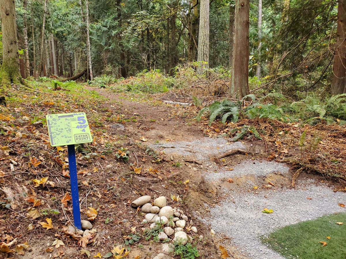 Hole 5 tee