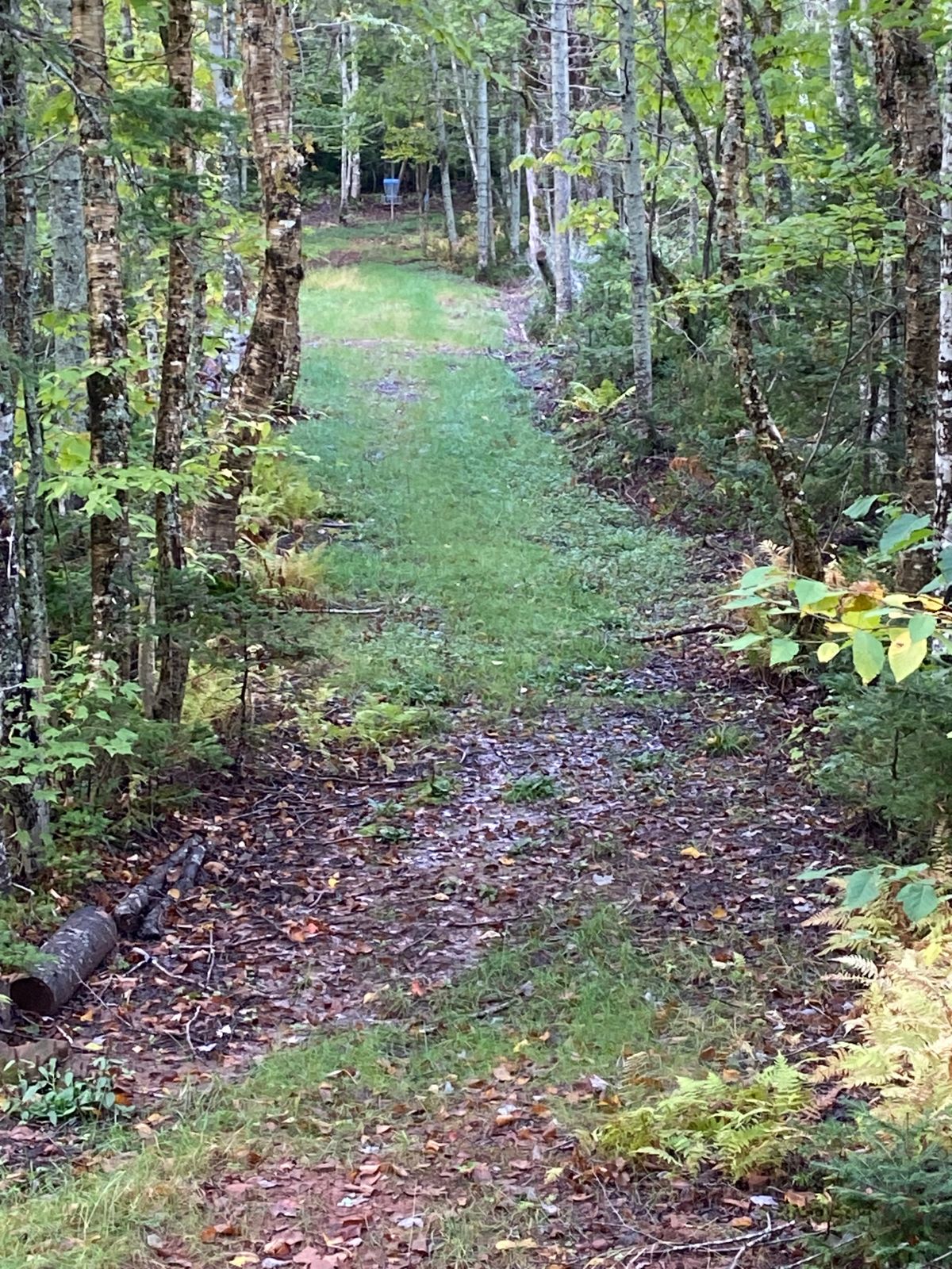 Another beautiful hole.
