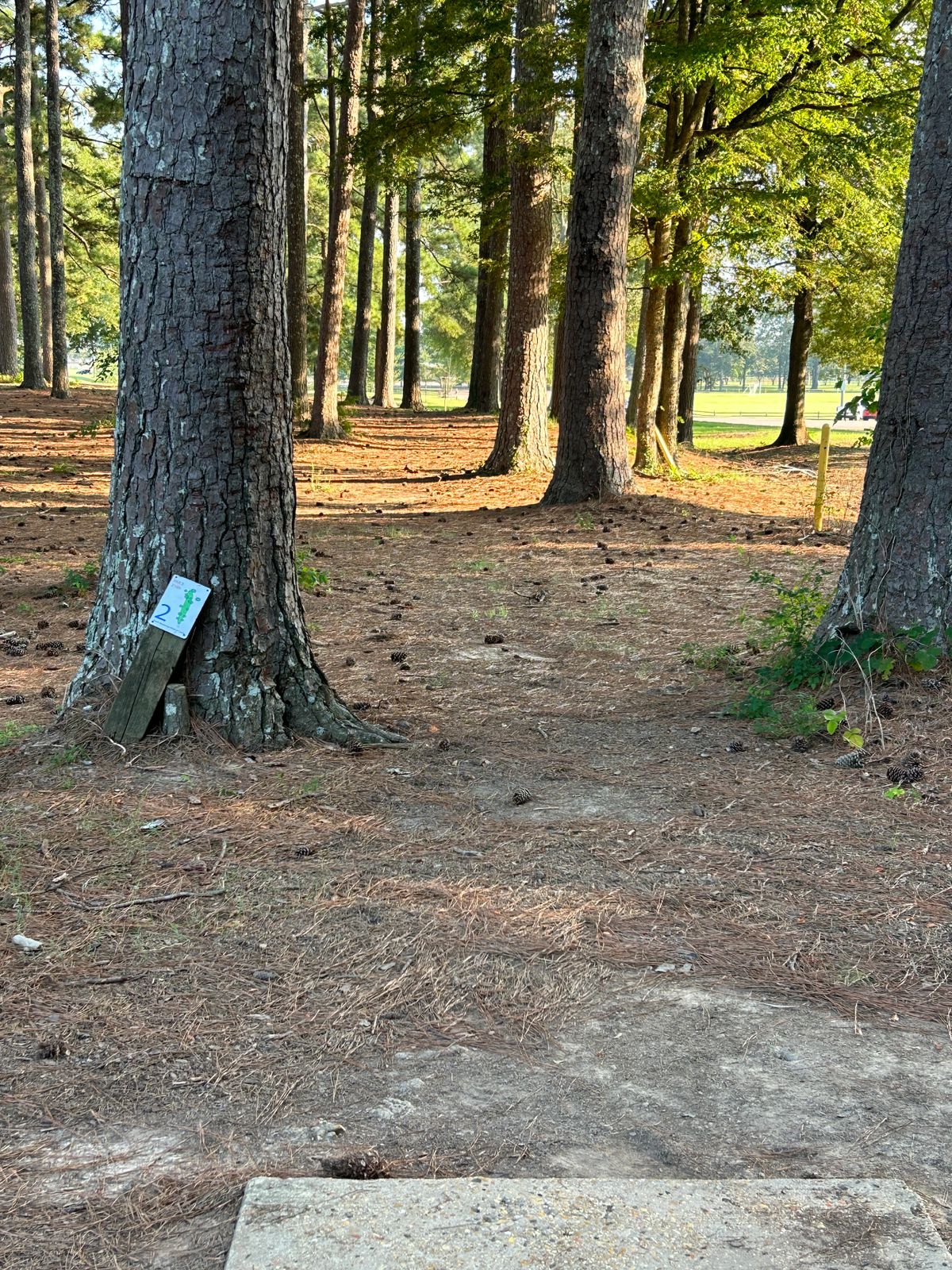 Hole 2 plays back towards hole 1