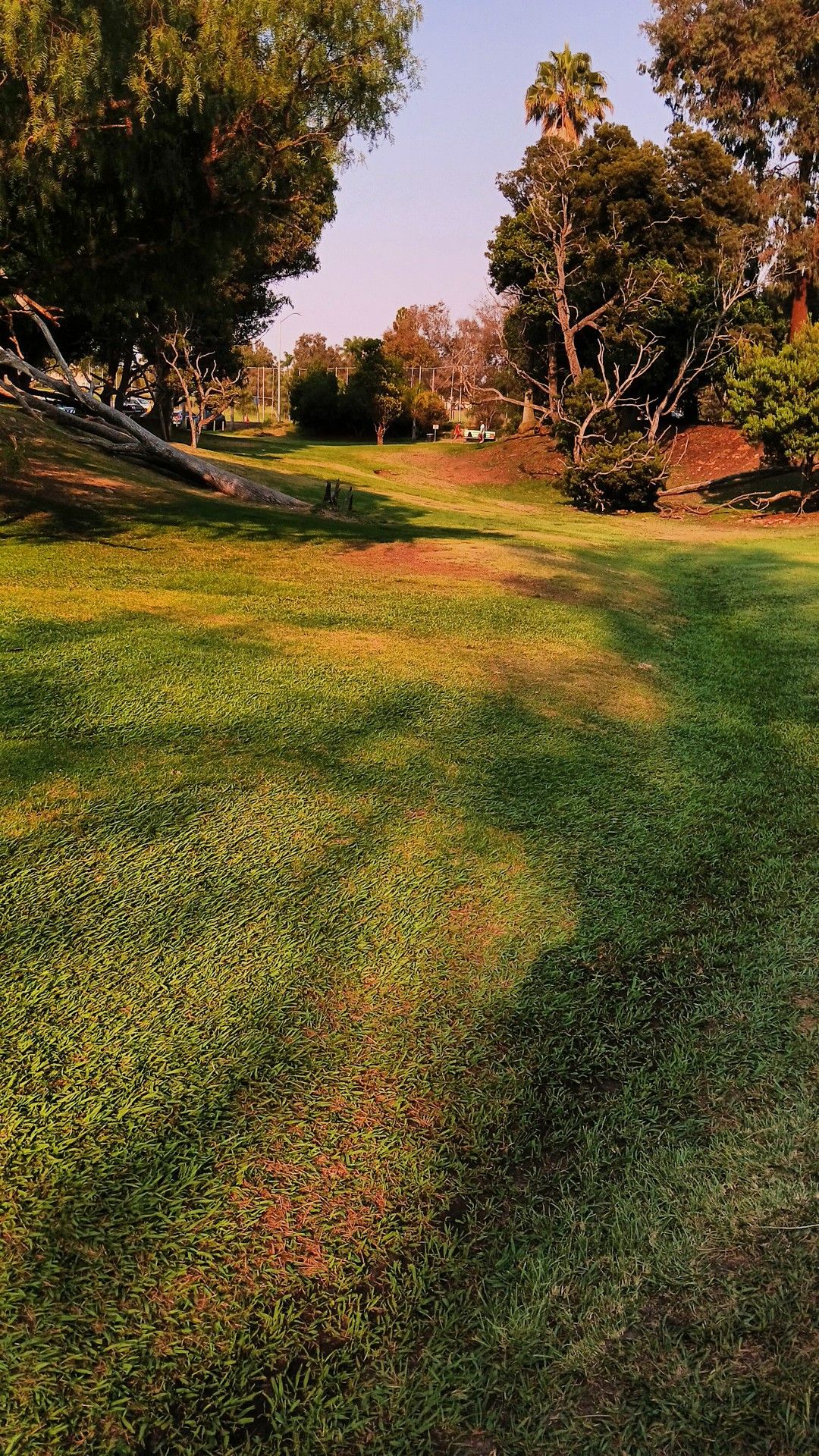 Hole 19
