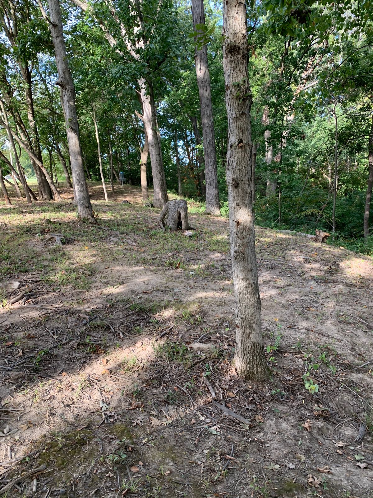 Hole 18 Approach