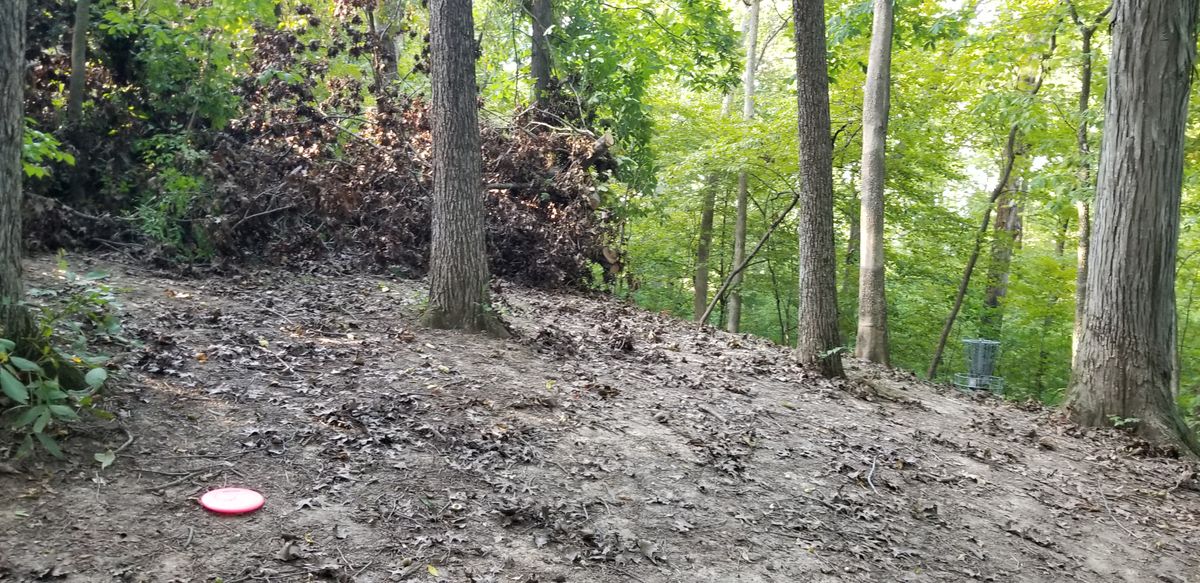 Maybe readjust your shot for basket #12 creek below!