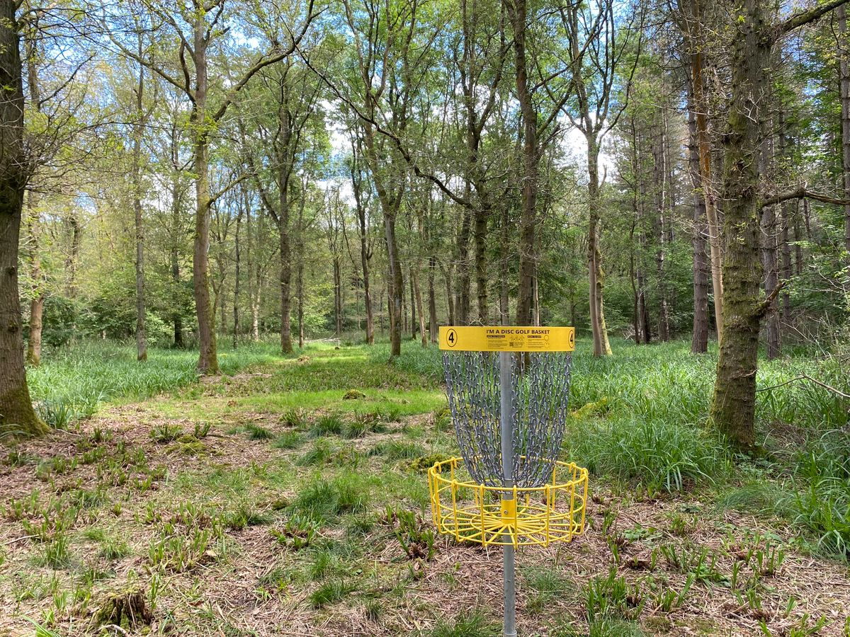 Hole 4 Basket - looking back up the fairway