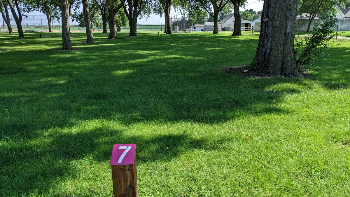 Tee #7