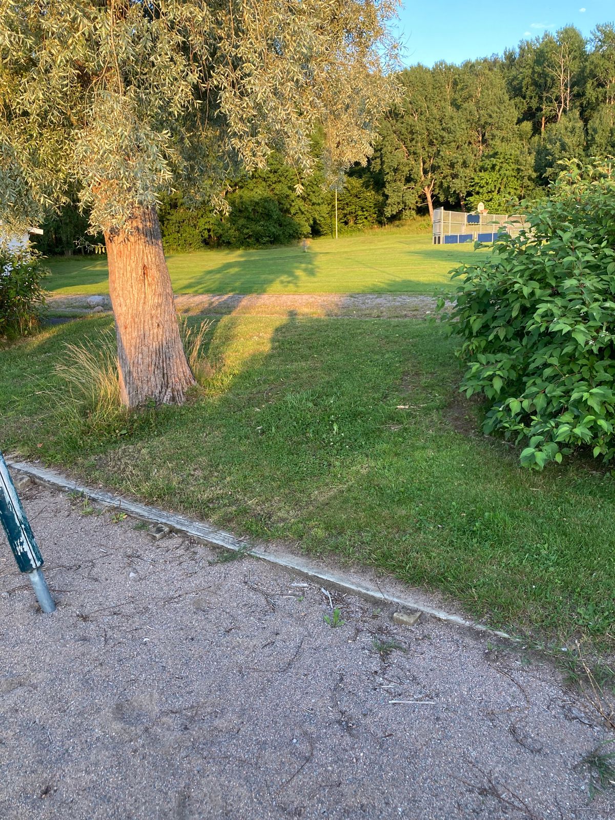Tee 4