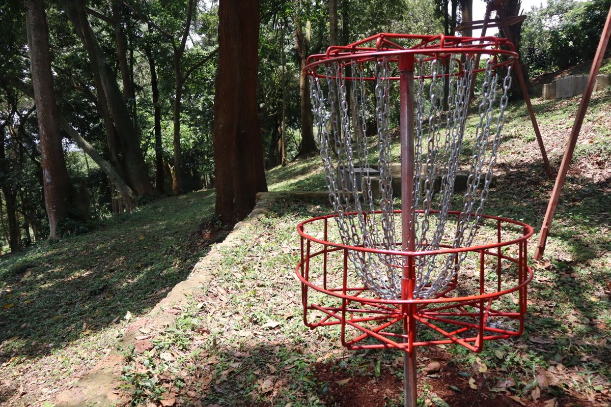 Hole 6 basket